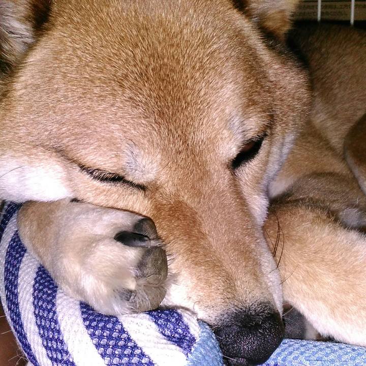 E20714ed 3d38 4cff 9503 edbd360e6397 1526950762323