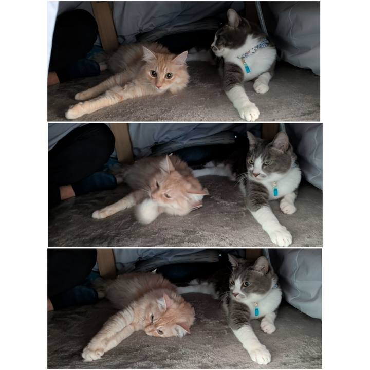 E2072c37 0db1 47b9 a372 09a46100481f 1732408626857