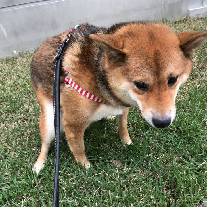 E2076ea6 7d77 42a0 9863 9aeb7ccd54f9 1527808352933