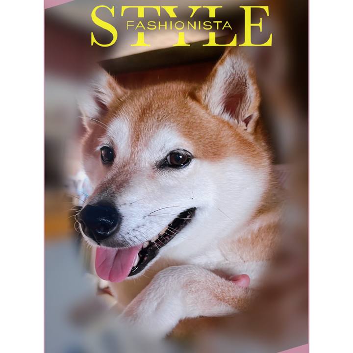 E2079ab7 1685 4914 845e 14891ff94df0 1694735954542