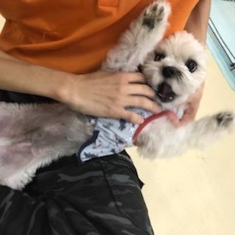 E207aba9 9ff9 4a6d b81d 0ec8ad74f673 1512559938973