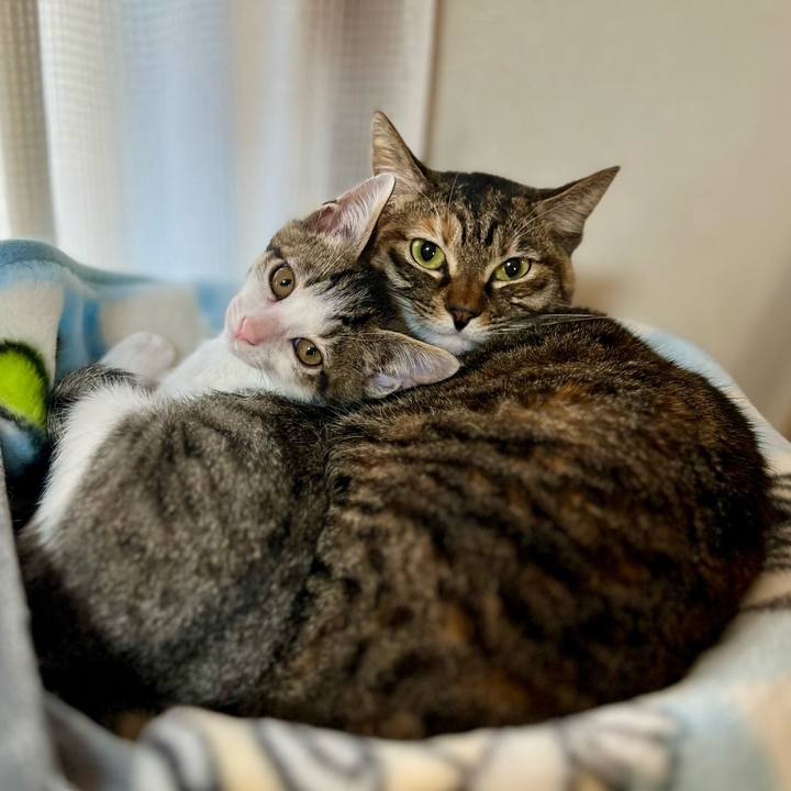 E207da72 f9cd 4e83 8585 05957bacdaba 1764077768834