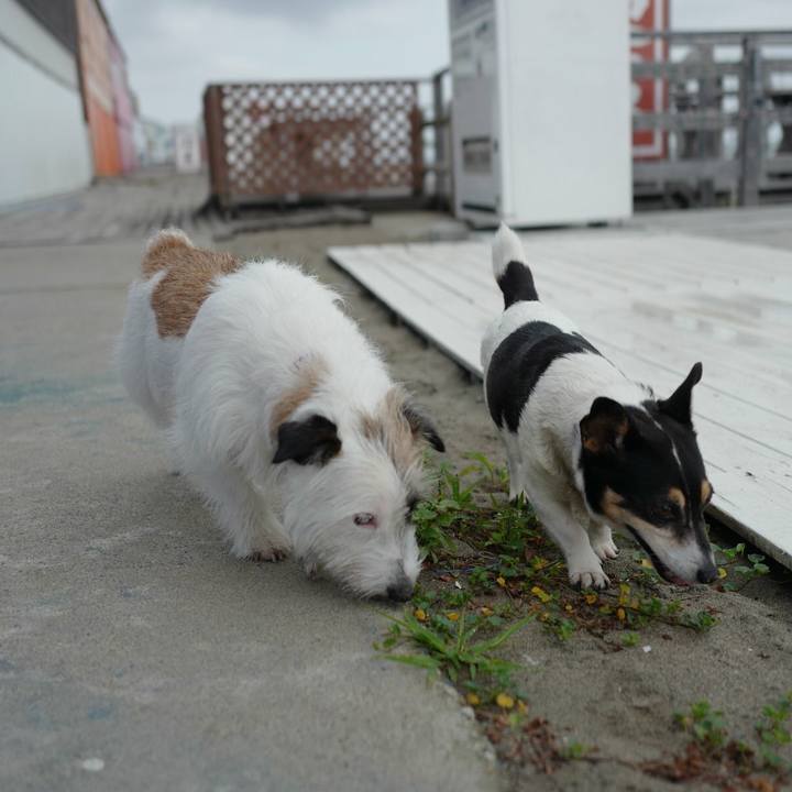 E207e3b2 0d76 4342 a9c9 27d1ebe935e2 1531456558930