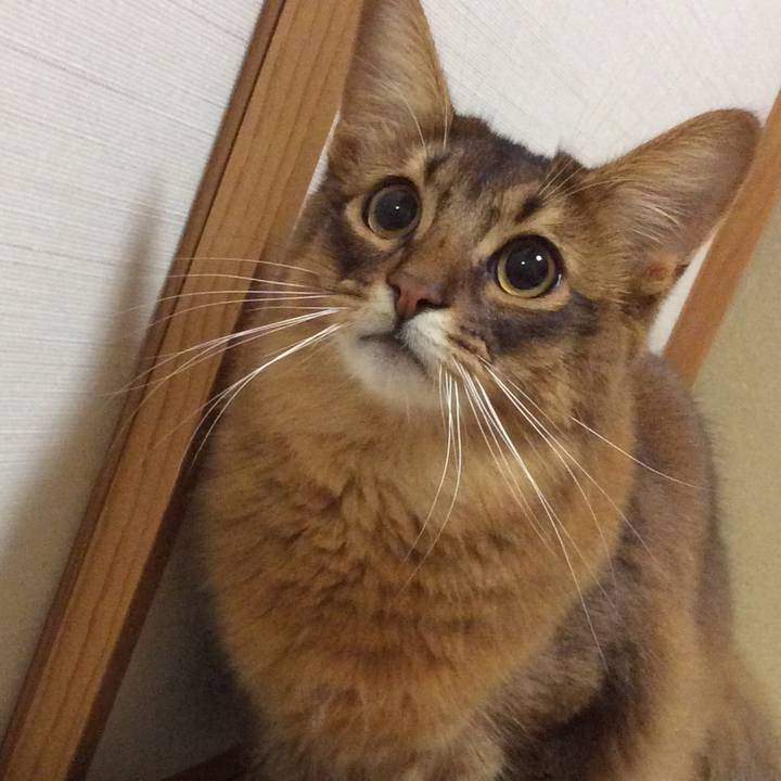 E20805d6 941b 4d4e b7ff 8bb125a0602b 1611189784708