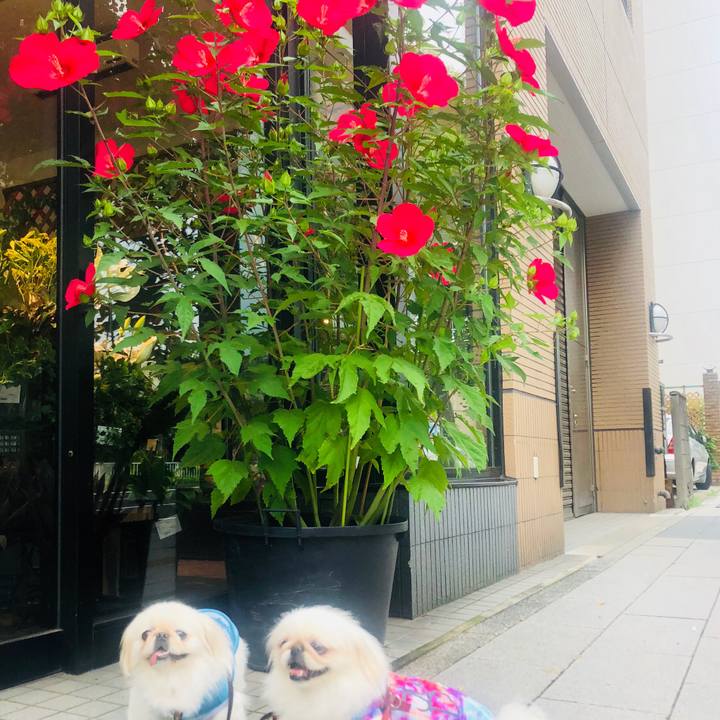 E2084cd0 c24b 412a 9984 9c6e5de6179e 1563398875038