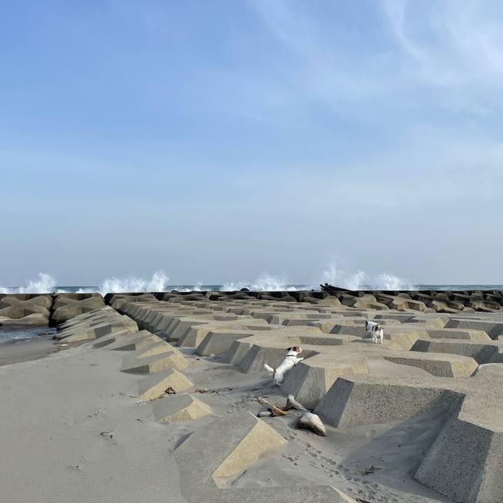 E2086aaf 928a 4375 91d4 1f588f5abb56 1682123175975