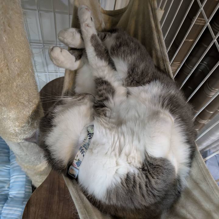 E208cbae 700c 4791 9d78 d1848653f3e4 1757515820755