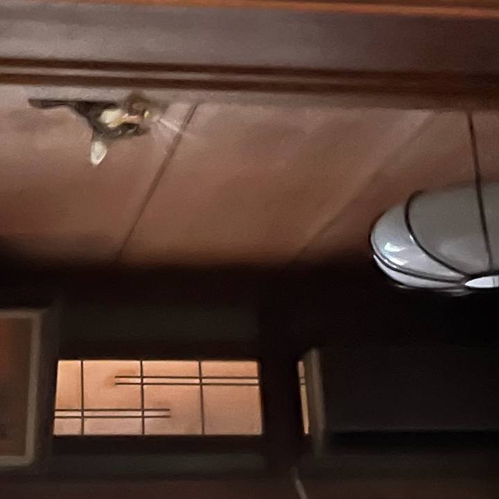 E208d1a5 4947 4457 9a2c cb731ad24348 1759729102408