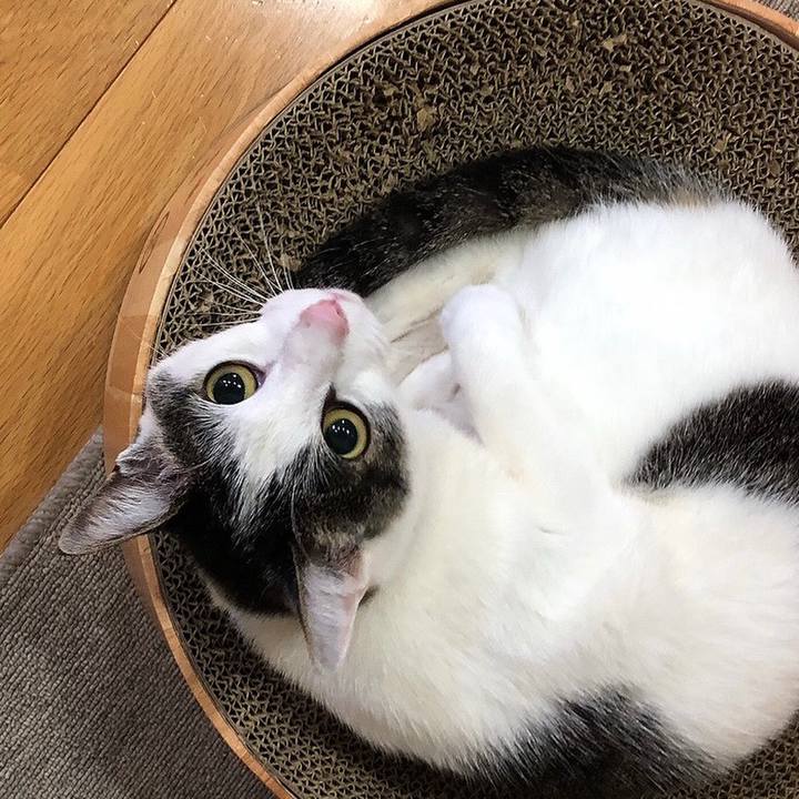 E208de14 8dcc 4fb4 8582 66c1ee2cca68 1652536317947