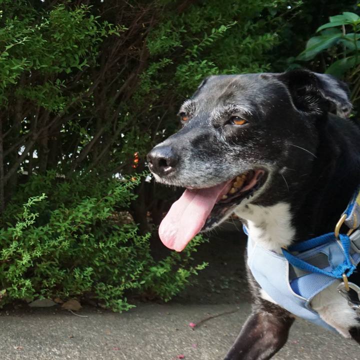 E2093159 2c2f 4864 bb87 8eba33470526 1755387567113