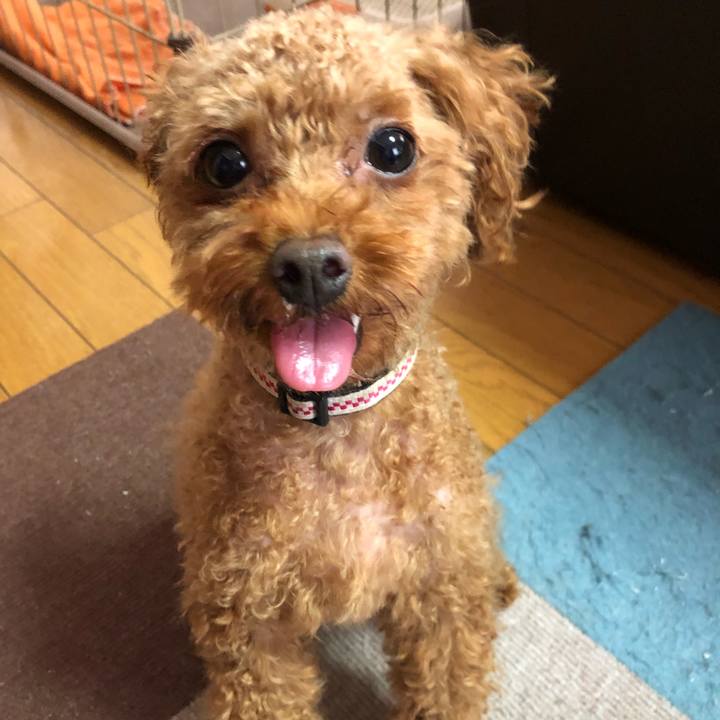 E20934d1 0524 4bba 8093 a602ca5864a5 1533430770817