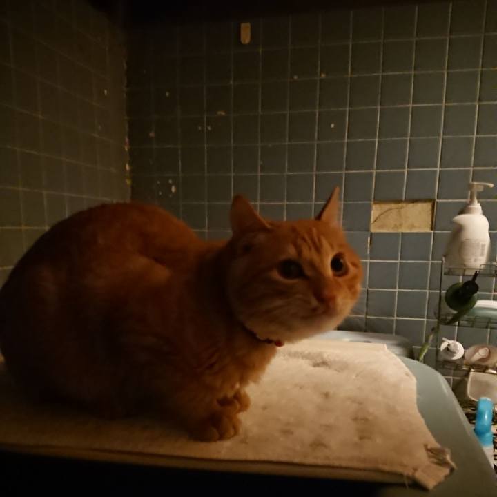 E20959d0 b991 45c7 a66a bc9073d33e44 1637661050761