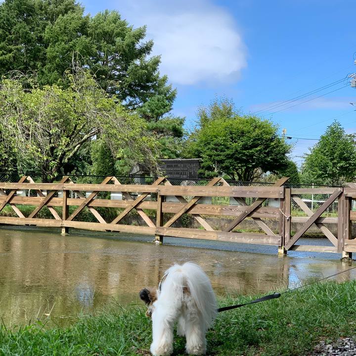 E2096ce6 84ff 4b8e bee4 4cf46fe04699 1599125391608