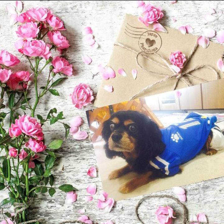 E2097249 3c93 48d2 86cf 0d2f1979e528 1521636820418