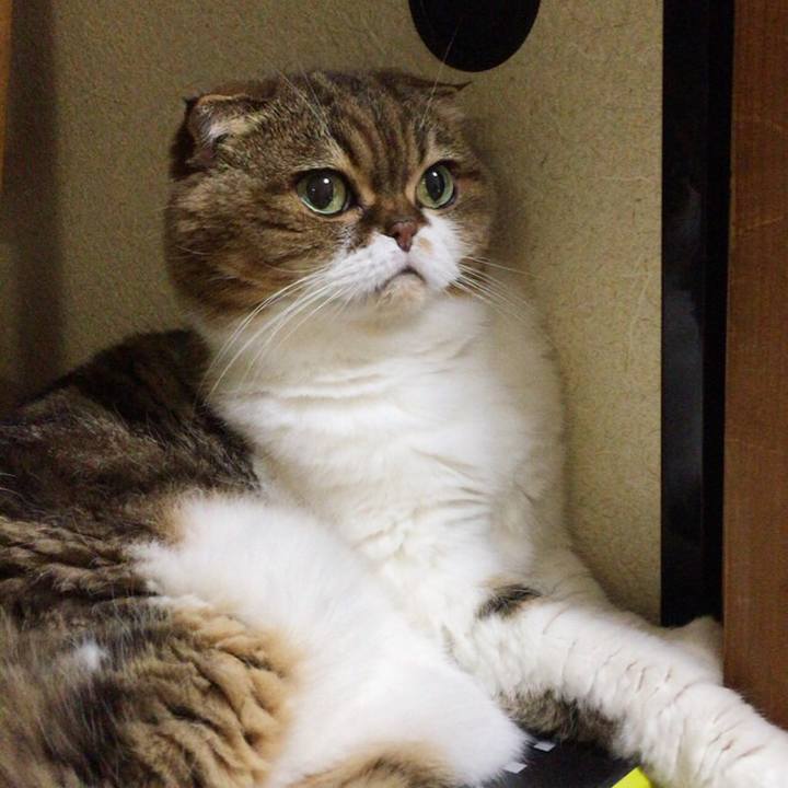 E2098501 d46b 4c6f a26e 1a8aef1b5f2a 1509968584600