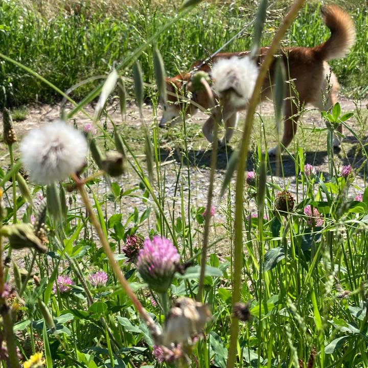 E209a7e3 8b15 4882 99e9 1473786dc234 1747118885814