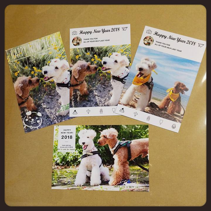 E209c312 02e6 4cdb 8774 5e67857f6a5e 1514821733464