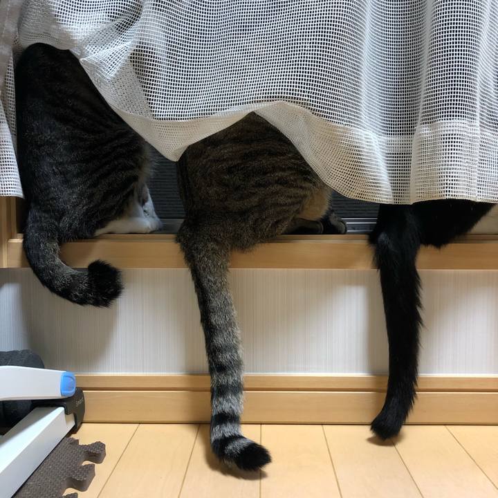 E209d59e f1e2 4b6b 9465 18bdb143e0ed 1591070399999