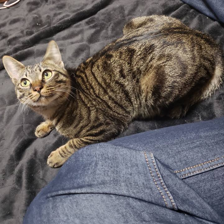 E209da96 8e44 4594 811f 80828325fba0 1550656882405