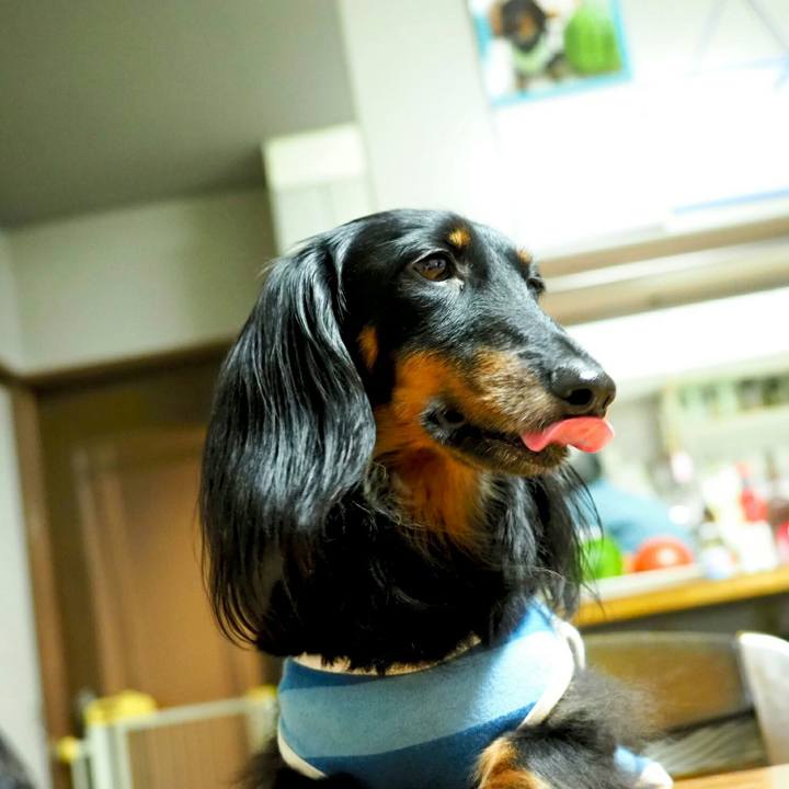 E209eeb5 42c3 4f4a ab76 43aec5793110 1532225152748