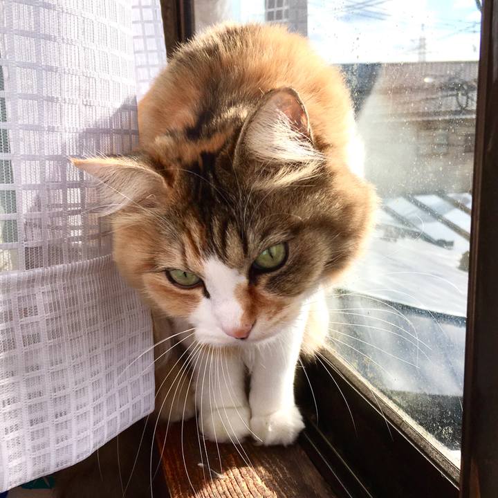 E20a422b dae5 44f6 a5ab 0e86738ada94 1577083665212