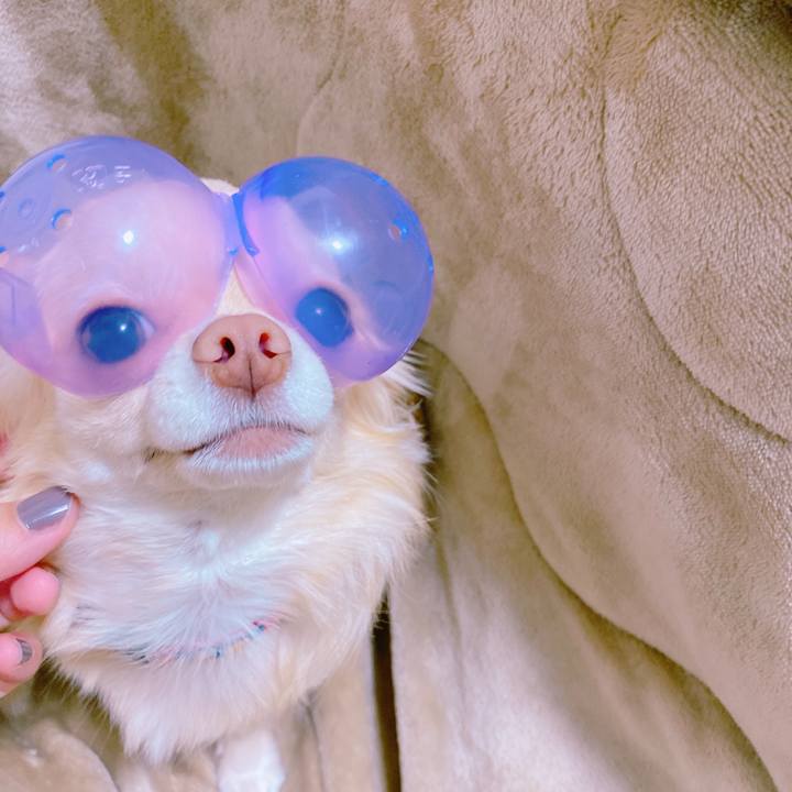 E20a7d82 2ed9 4895 a358 6b9004978911 1636635953244