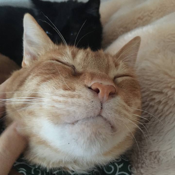 E20a8063 8b30 4d12 853b 02fa104d35a1 1548487409391