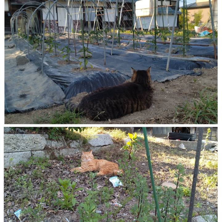 E20a955f 7d96 4d87 96fe 01bb0a78c32a 1716457153031