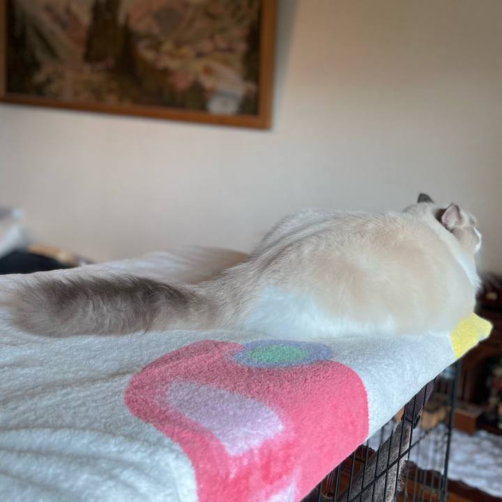 E20aa075 7be3 47db 8da0 106ce78fe454 1660548472459