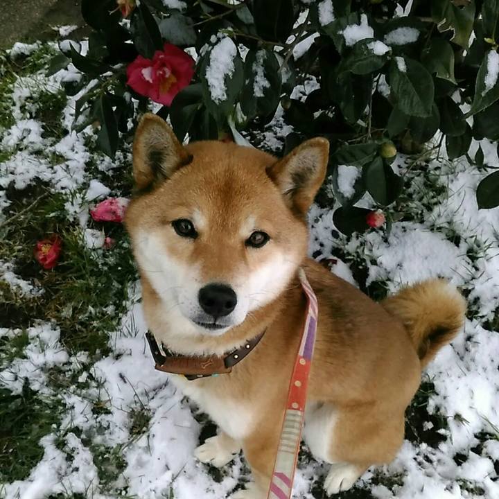 E20ac1ed d4c2 4d70 b9db c60bf1e5fe33 1549691107672