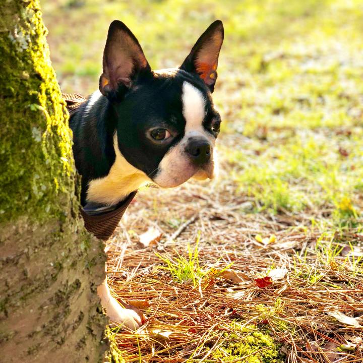 E20acd79 fe91 4dd5 8f66 f406d1400e1b 1514274111676