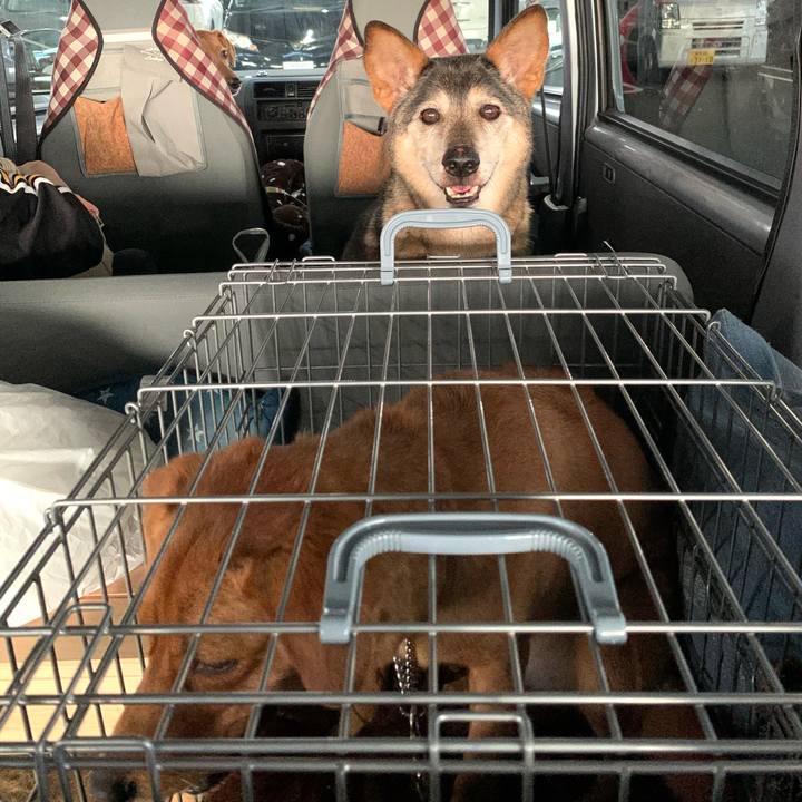 E20ad44f 2979 47a4 8105 4af9e77b659f 1572860883708