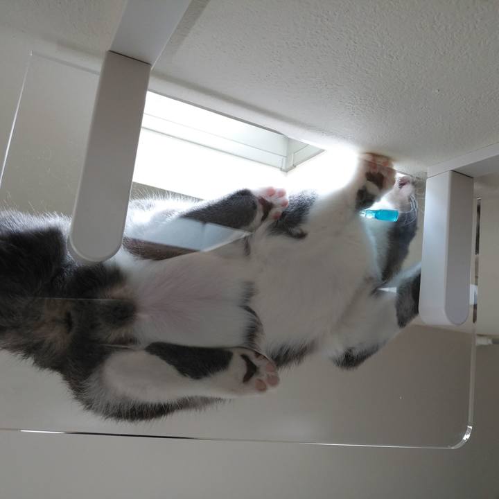 E20b20bd 33a3 482b 89c1 7f4ca36f5d71 1565666979381