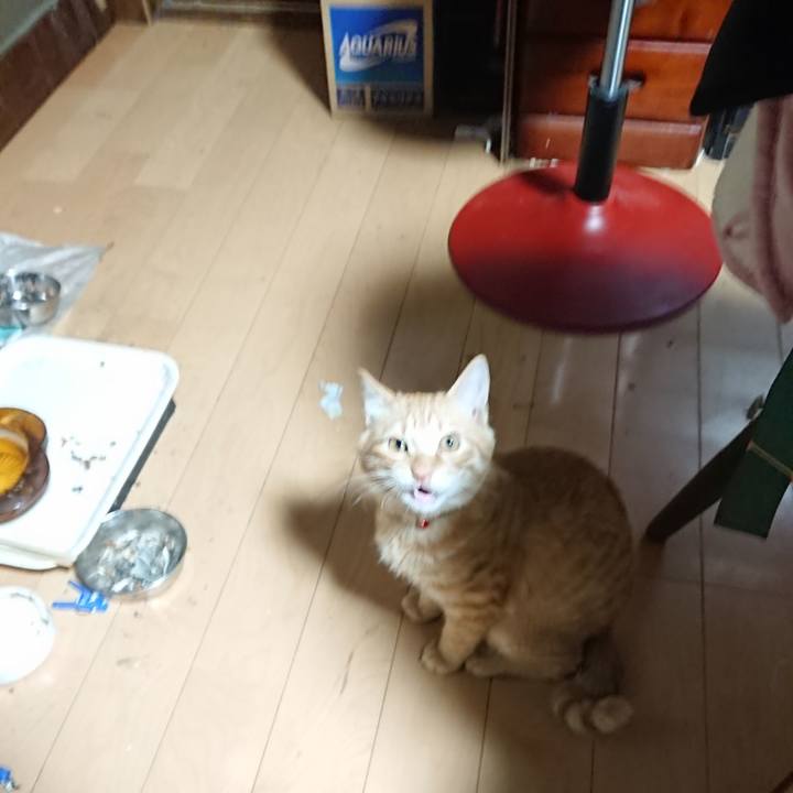 E20b3bfb 70b5 4177 bb8c 041ae82a6f9d 1636489202947