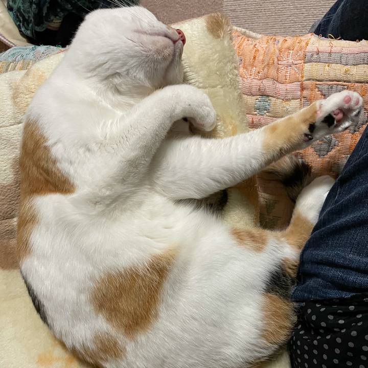 E20b4a1d 1be2 4ac4 8179 a4560ad7b48a 1622893224356