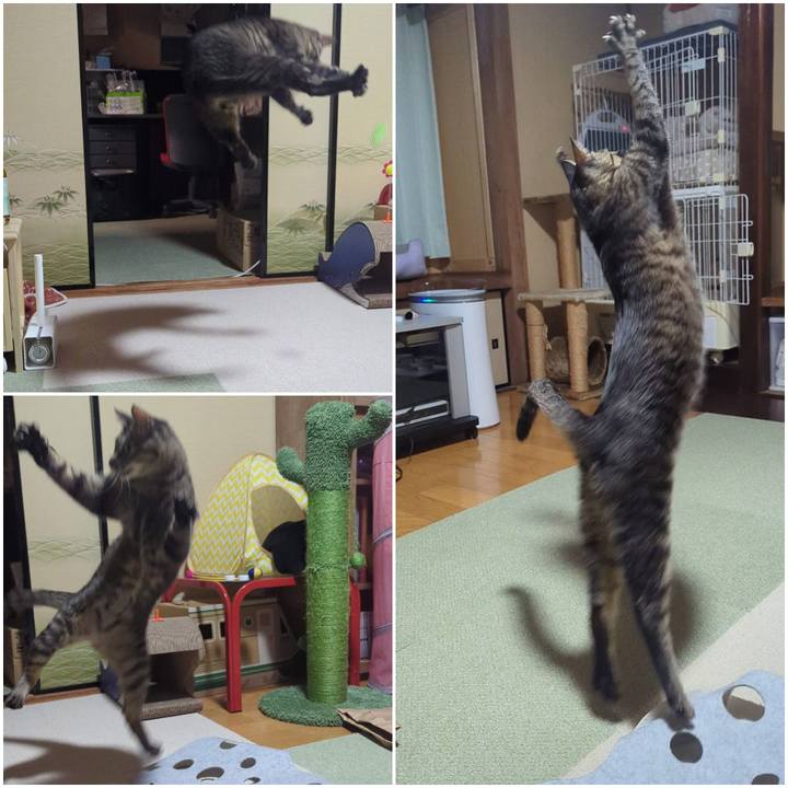 E20b5ebe 4098 4d44 a313 29d9da6e112b 1732775220437