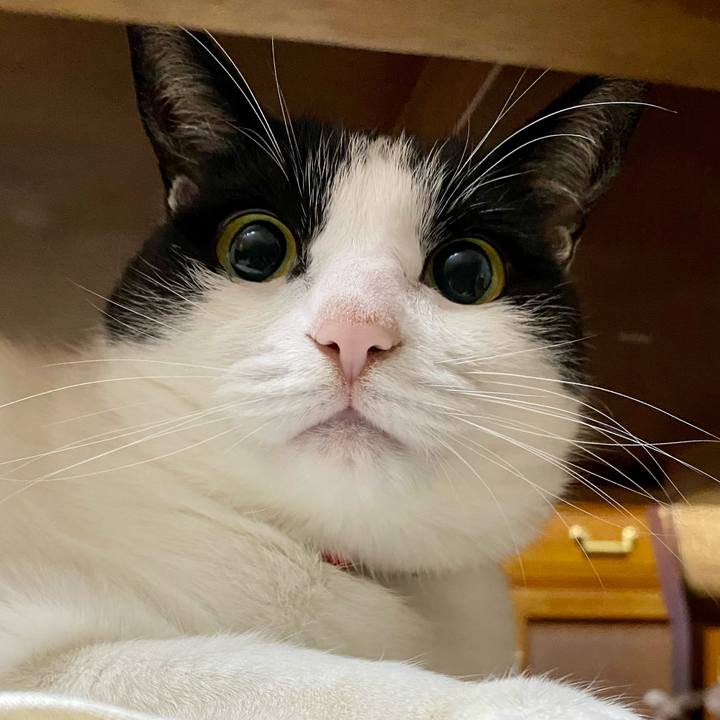 E20b7a0d 4827 4fcb 9812 7dd9a184a9a2 1666309861434