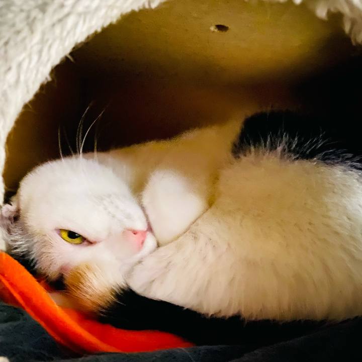 E20be717 11d9 4e88 bc3b d0a6bb20231d 1671109817428