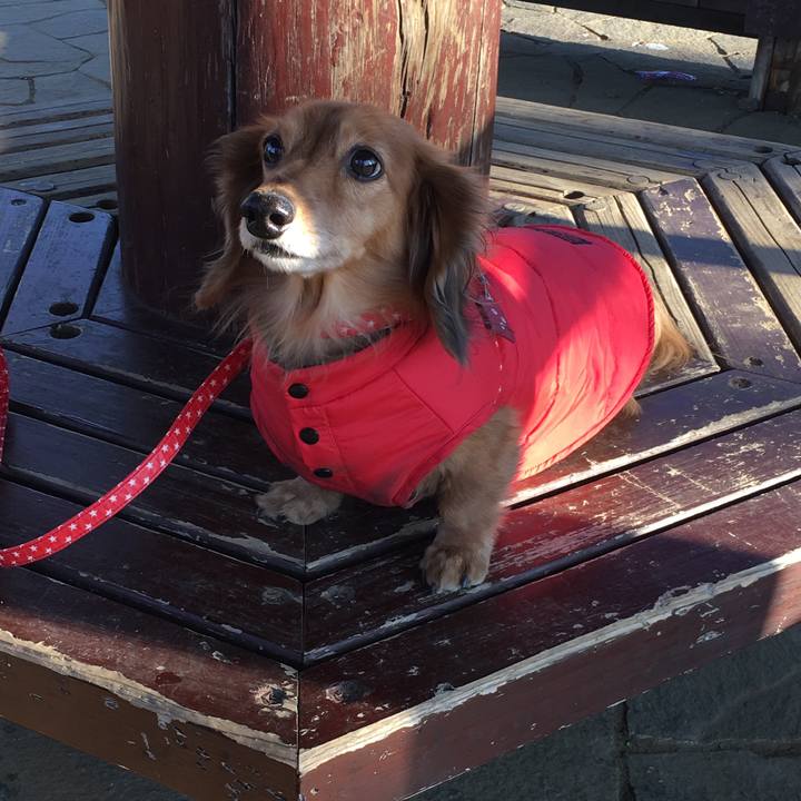 E20c01e2 08f2 4509 9994 b44f17468b78 1548427808954