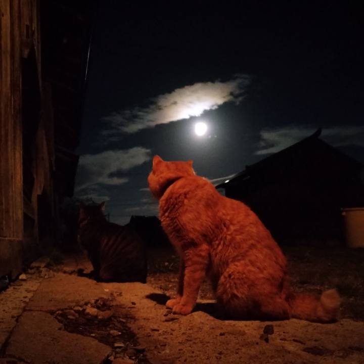 E20c0544 9723 45f8 bea2 4ec3f959da85 1695983313461