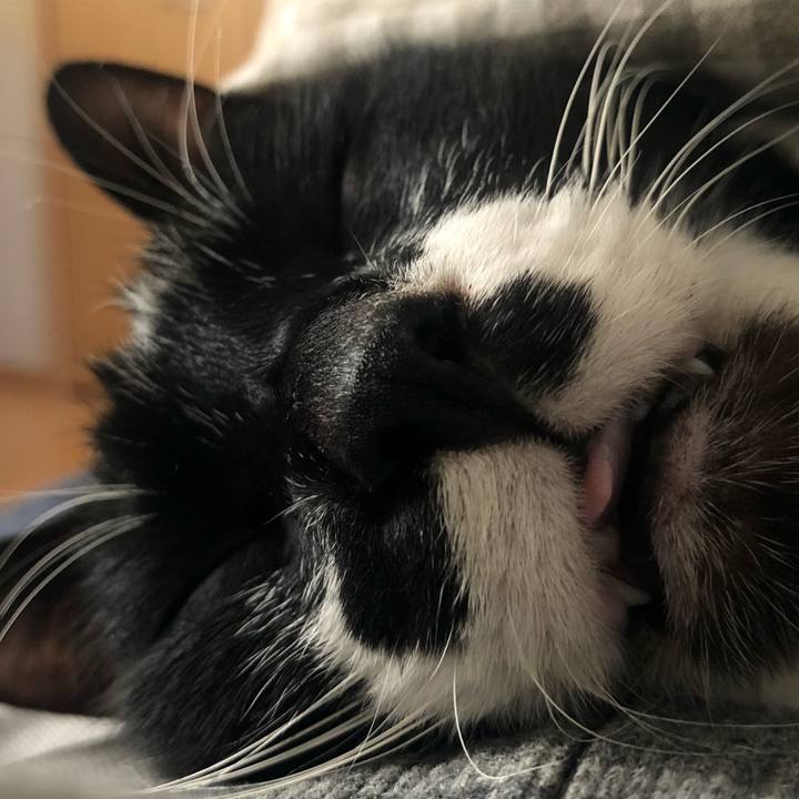 E20c074d 03b0 43fa 9cd8 4e59482ad77b 1581751657159