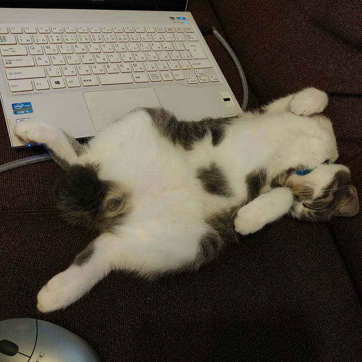 E20c4806 f192 46e8 8a7e 673c7b7ee574 1568345580017