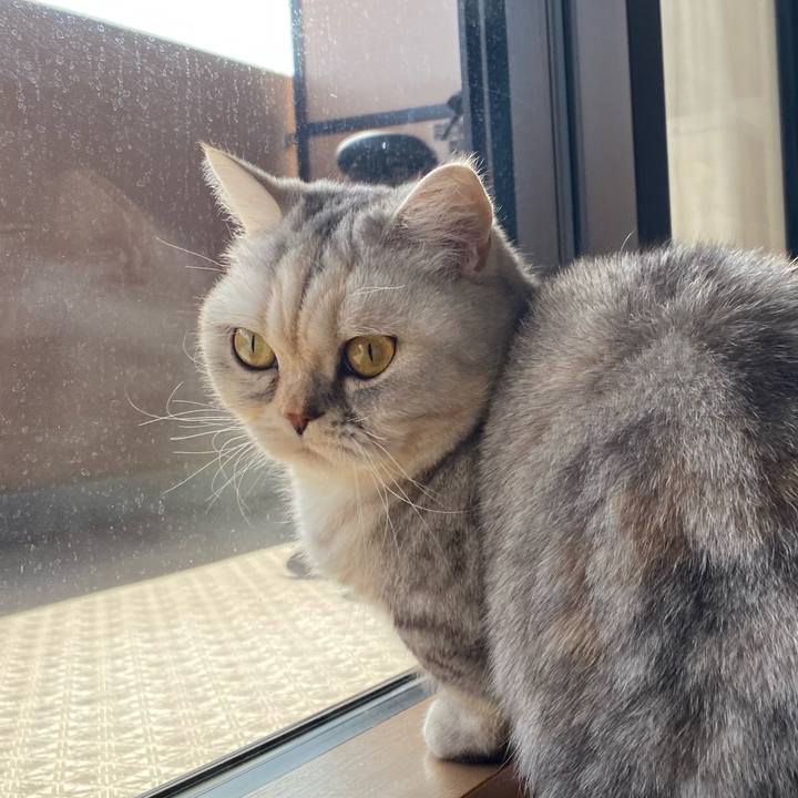 E20c4ee3 5d2a 4736 88ca 30c07d98cb36 1739331338244