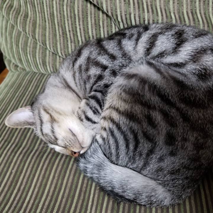 E20c5863 a46a 4e7a b1b1 638ca16e84c0 1673315850844