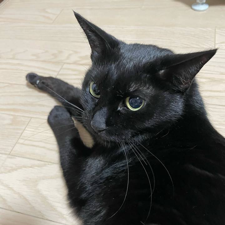 E20c878a b253 4772 b32e abe479003b7d 1742651463204