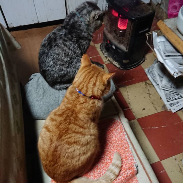 E20c8ab6 79dc 4e7b 8bc6 8adcf2a0be49 1576444527345