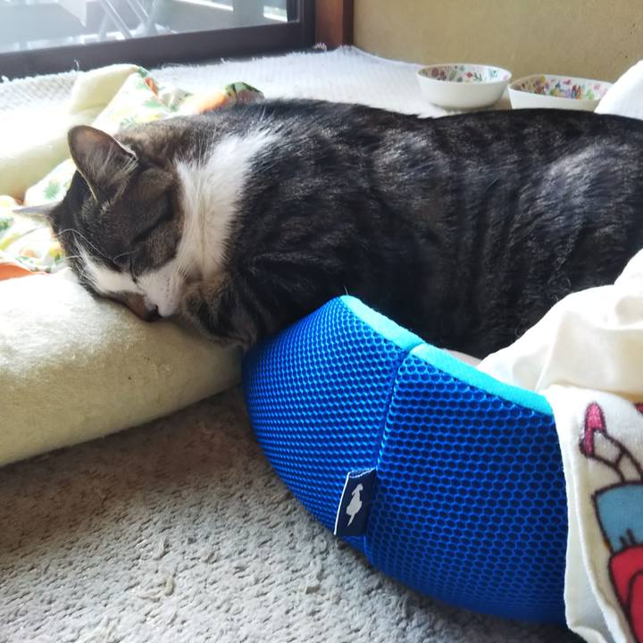 E20cc522 67ce 466e b1f9 85d7cceecef9 1604758829587