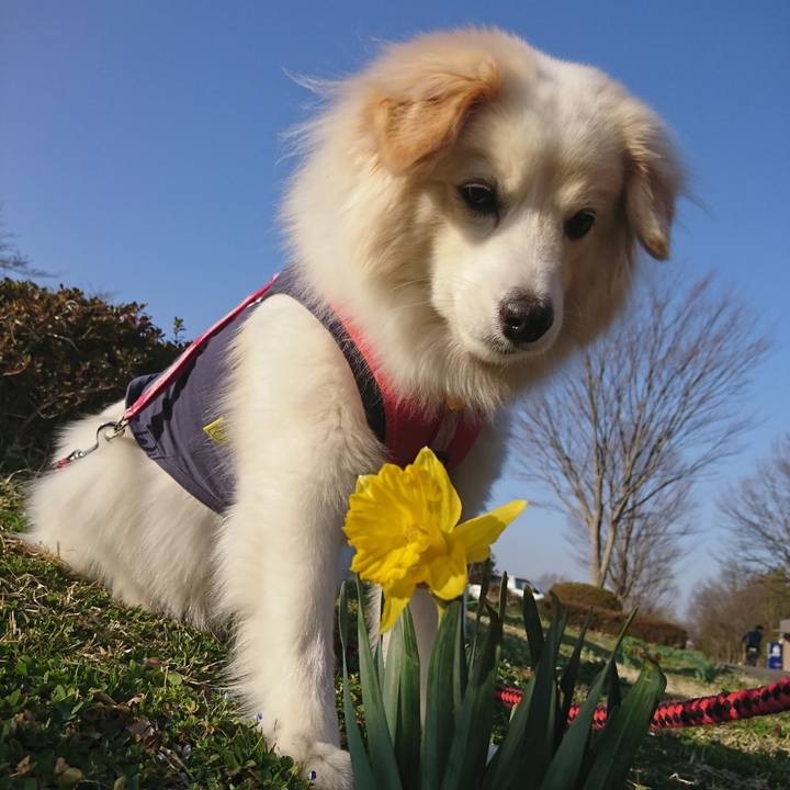 E20cee64 8b63 471d badb b78bc67ced42 1647040509054