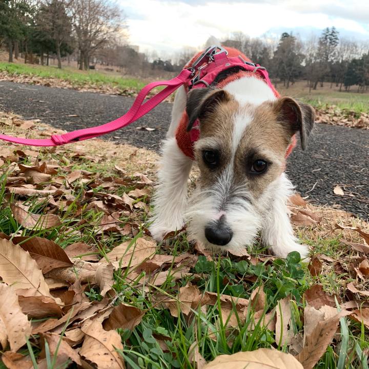 E20d13c2 e928 45c8 962a 01e9da4611f3 1577260180191