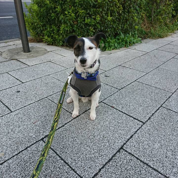 E20d2ec0 ff1c 40d9 91cb a81df70836f7 1508277482622